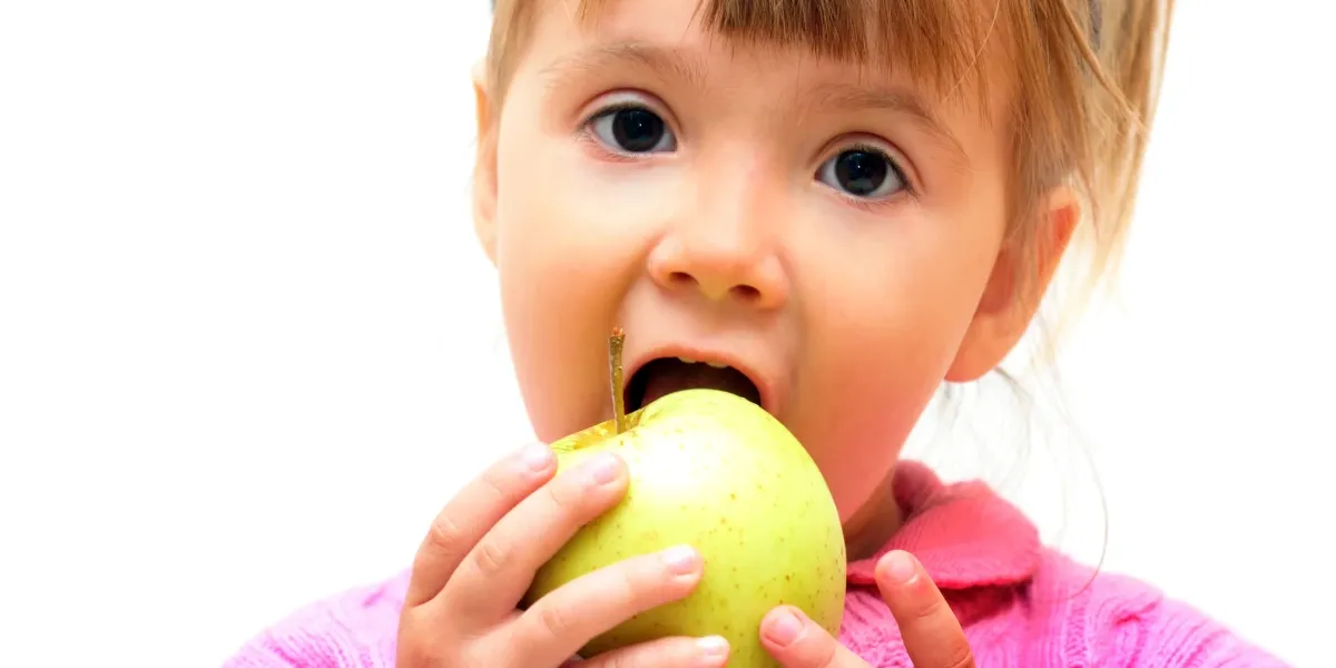 Niños de 1 a 3 años :: Menu ederra bere errezetarekin